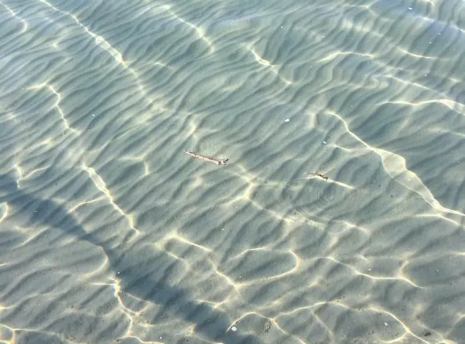 Aranypart 시오포크