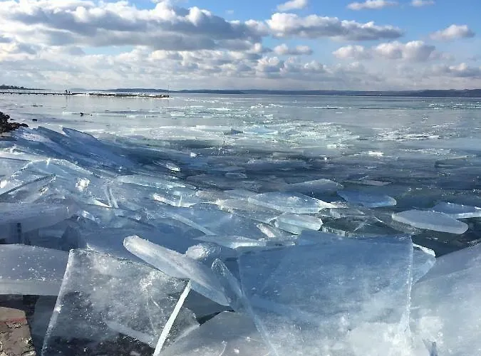 Aranypart שיופוק